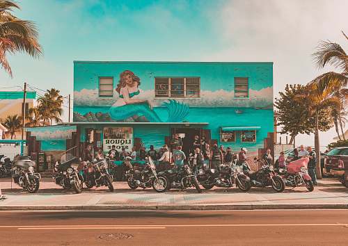 palm tree lot of motorcycle beside green house motorcycle